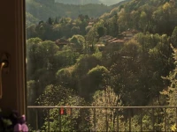 Appartamento nel Verde 