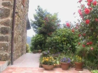 Il Montale 