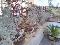 Bed In Salento 