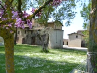 Agriturismo Nestore 