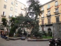 Apartment 25 