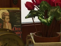Il Ventre di Napoli "Broggia" 