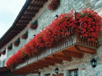 Agriturismo I Comelli 