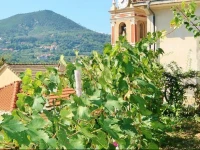 Agriturismo Costamagna 