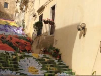 B&B Casa Camelia 