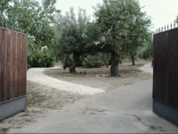 Terra Di Eloro 