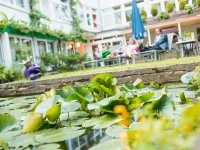 Hotel Am Triller 4*