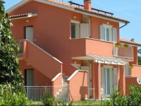 AmareNumana 