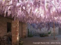 Agriturismo Furfullanu 
