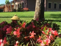 Villa delle Calle 