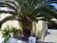 B&B Oliena 