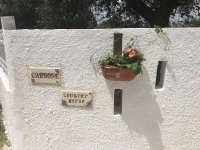Carbone Country House 