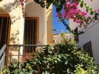 Casa Arborea 