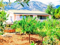 Il Paradiso Degli Ulivi A 