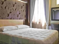 Hotel Novelli 