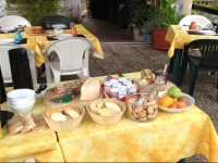 Fattoria Del Pino 