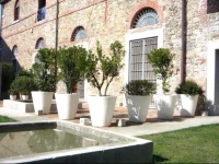 Il Frantoio Luxury Home 