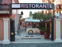 Hotel Maximo 