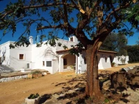 Lama di Galizia 