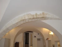 Latorreangioina 