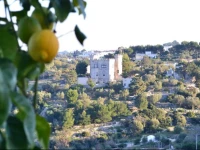 Notti Di Puglia 
