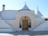 The White Shelter 