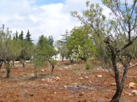 Trullo Riccardo 