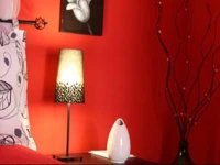La Volpe E LUva B&B 