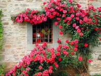 Agriturismo "Ai frati" 