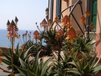 Arcipelago Toscano B&B 
