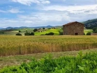 Casa Vacanze il Ginepro 