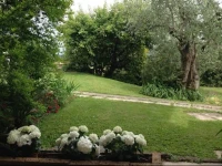 Il Paradiso del Garda 