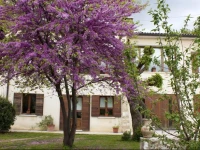 B&B AltГЁ 