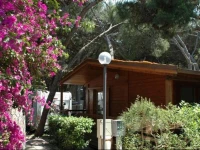 Club Magic Garden 