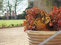 Albergo Villa Alessia 