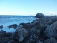 Al Rotolo 