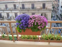 Appartamento Alla Zisa 
