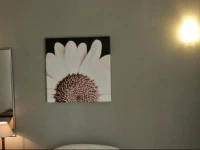 Carramusa Home 