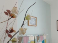 B&B Cristina 