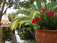 Bed and Breakfast El DueГ±o