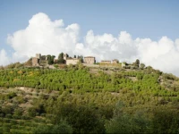 Le Casette Di Cedromonte 