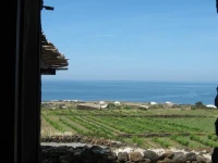 Holiday homes Zibibbodoro 