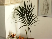 B&b AltrovГЁ 