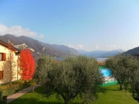 Hotel Ulivi 