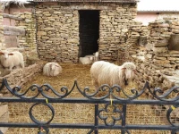 Agriturismo Duca di San Martino 