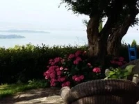 Villa La Moraiola 