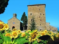 Castello Di Ristonchi 