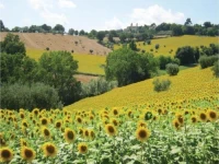 La Dimora del Sole 