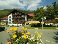 Hotel Alpengasthof Lowen 