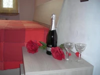 Le Palme House 